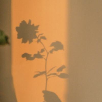 am8亚美ag旗舰厅官网app下载截图