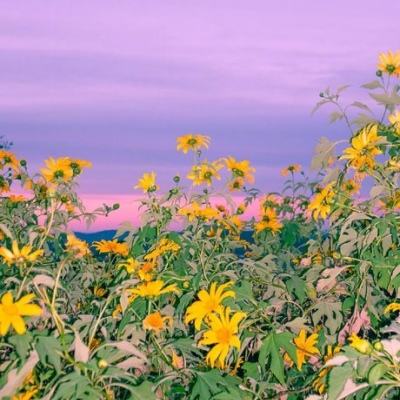 am8亚美ag旗舰厅官网app下载截图